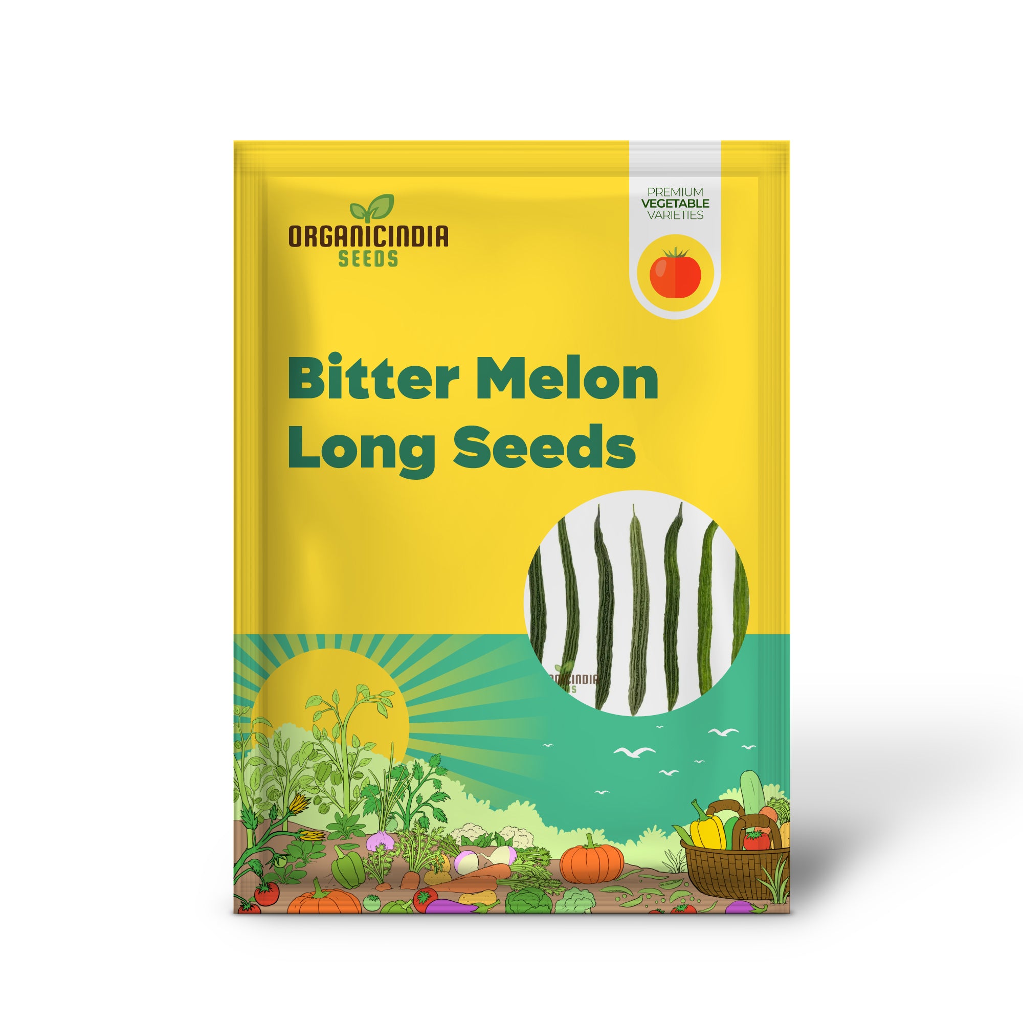 Bitter Melon Plant from Seeds, Japanese Long Variety