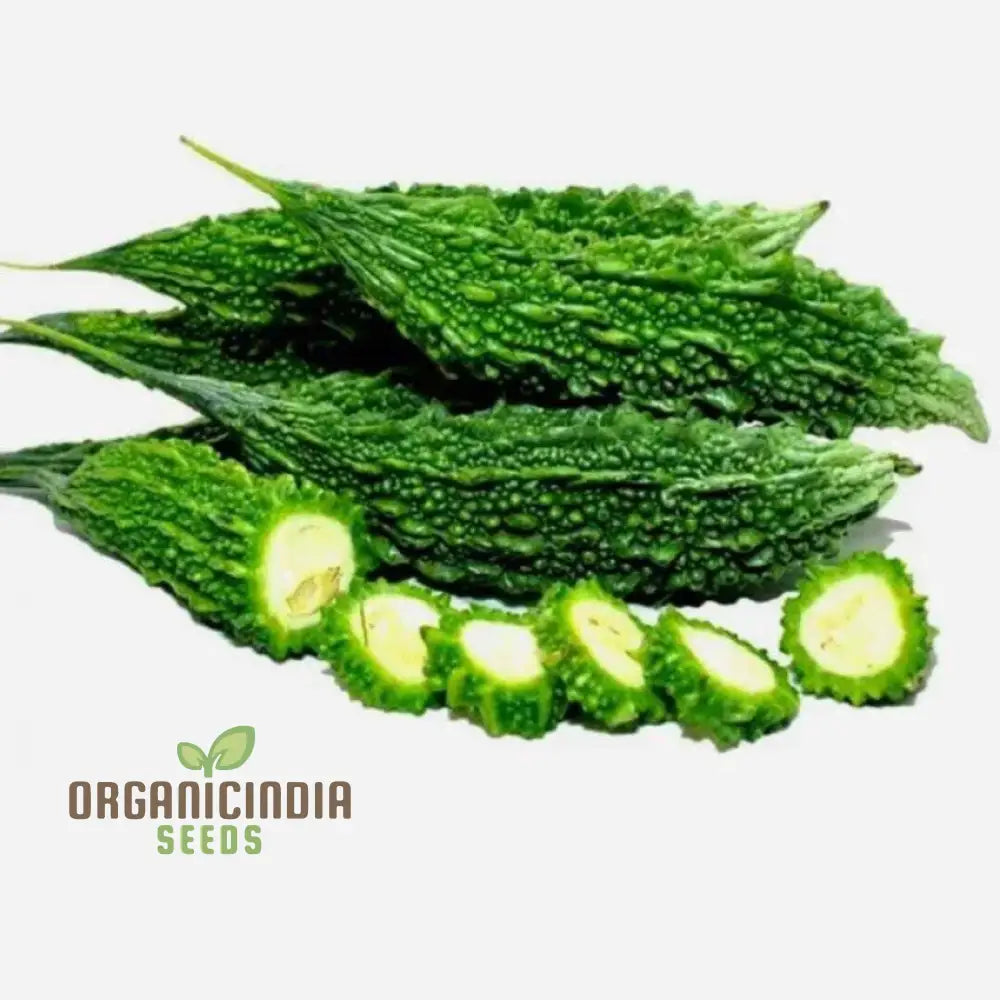 Bitter Melon Seedling Growing from Seeds, Healthy Garden Plant