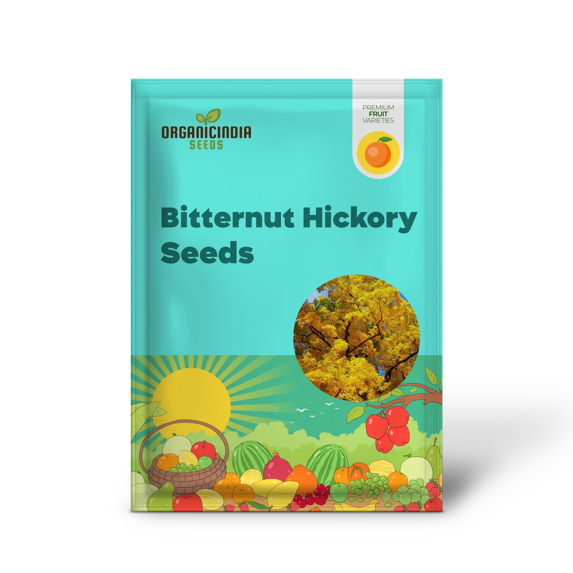 Hickory Tree Seeds for Home Garden and Reforestation