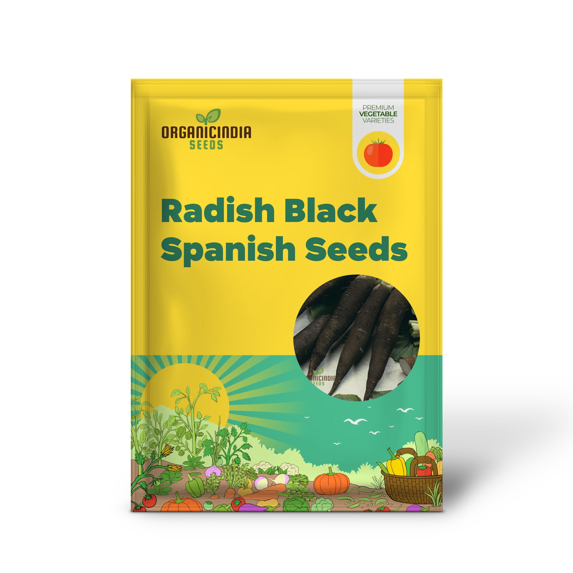 Black Spanish Long Radish Seedling, Easy-to-Grow Vegetable Seeds