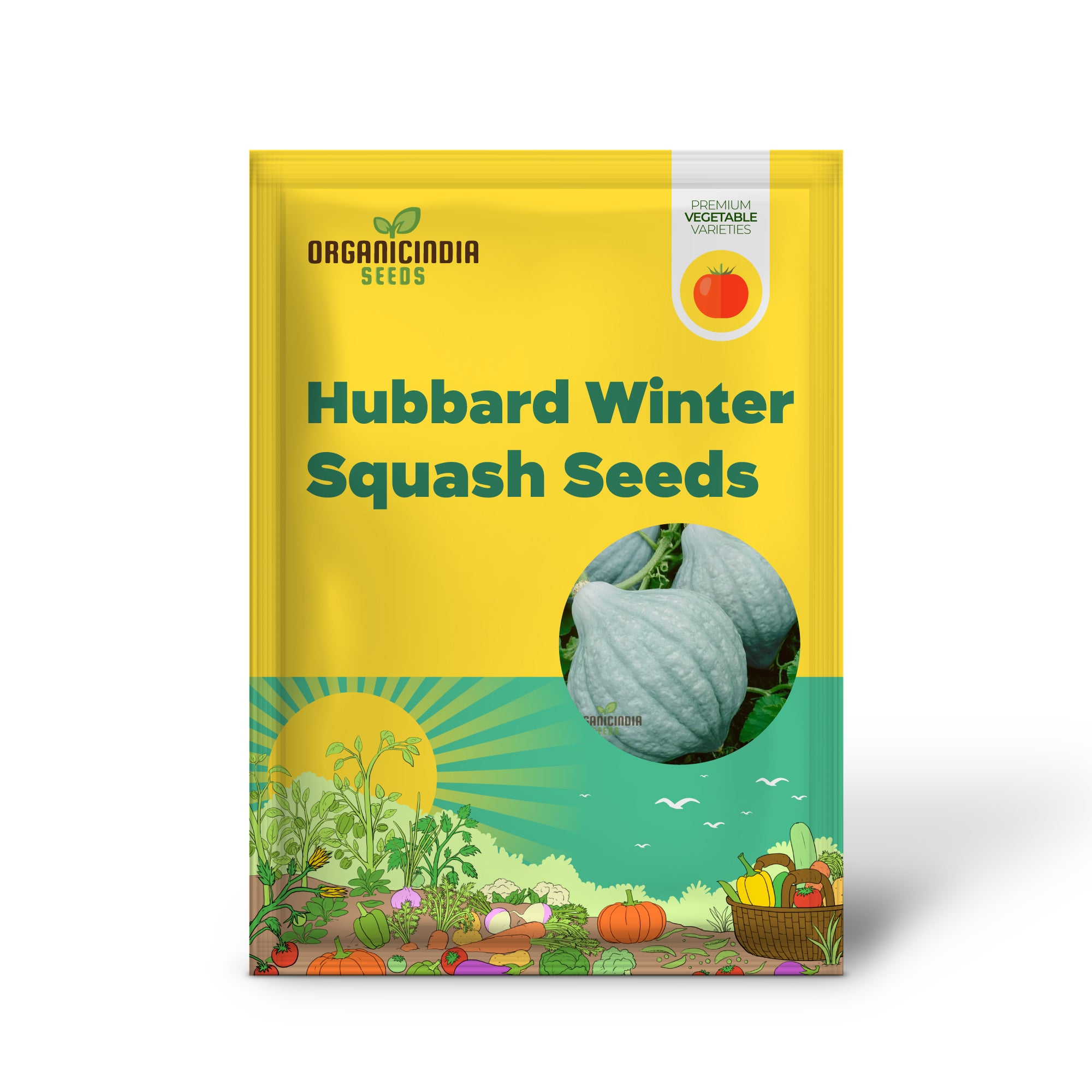 Blue Hubbard Squash Seedling from Seeds, Easy-to-Grow Heirloom Variety