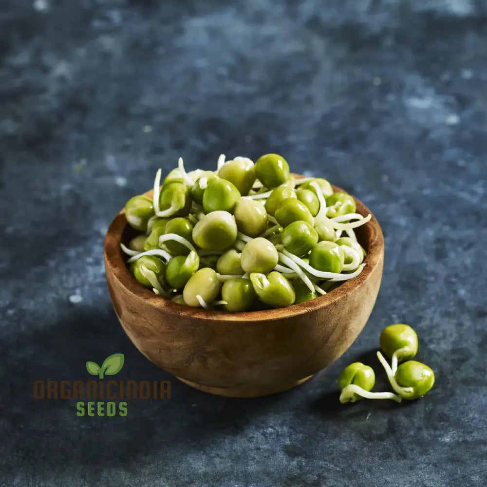 Blue Peas Seeds For Sprouting â€“ Premium Quality Easy Planting And Growing