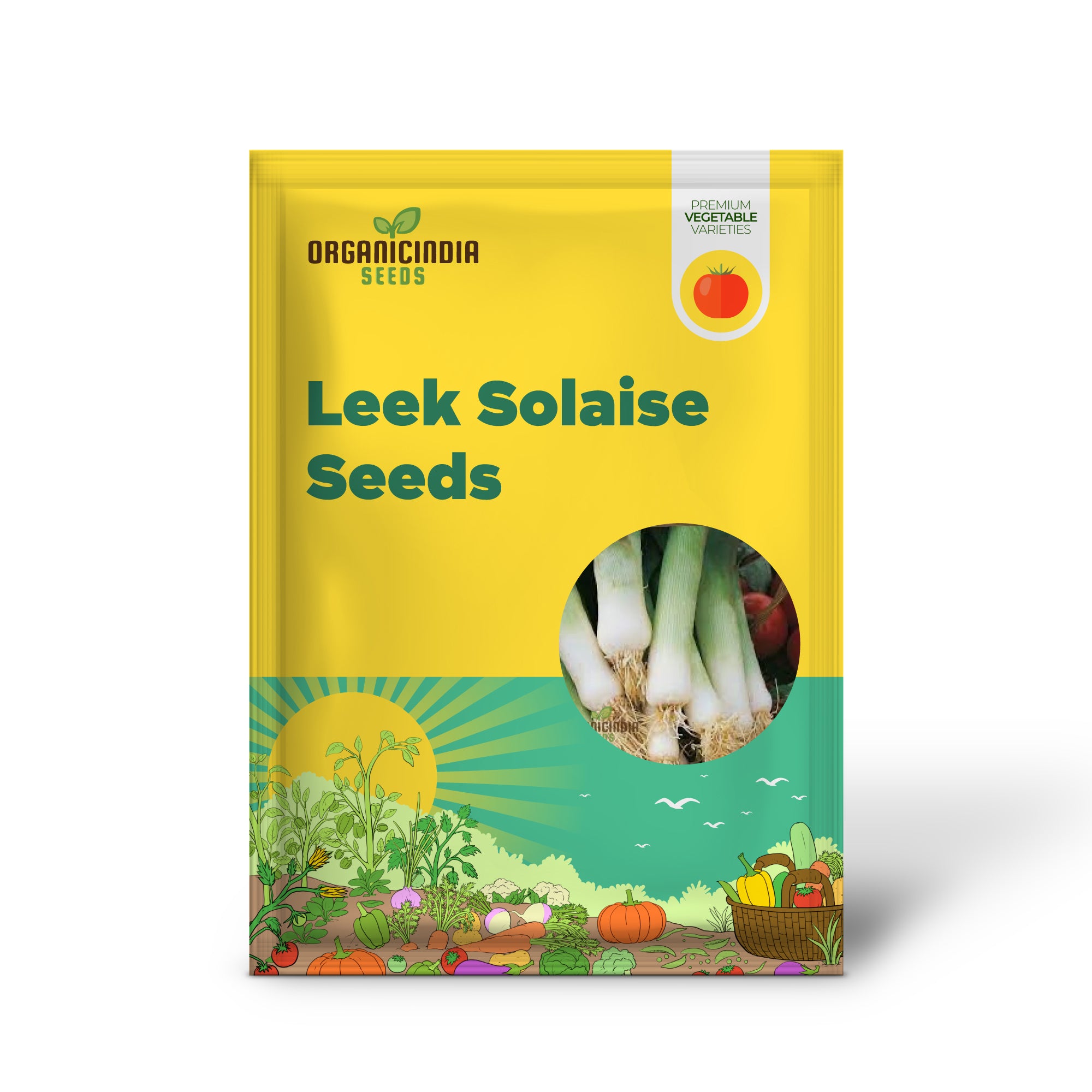 Blue Solaise Leek Seeds for Planting