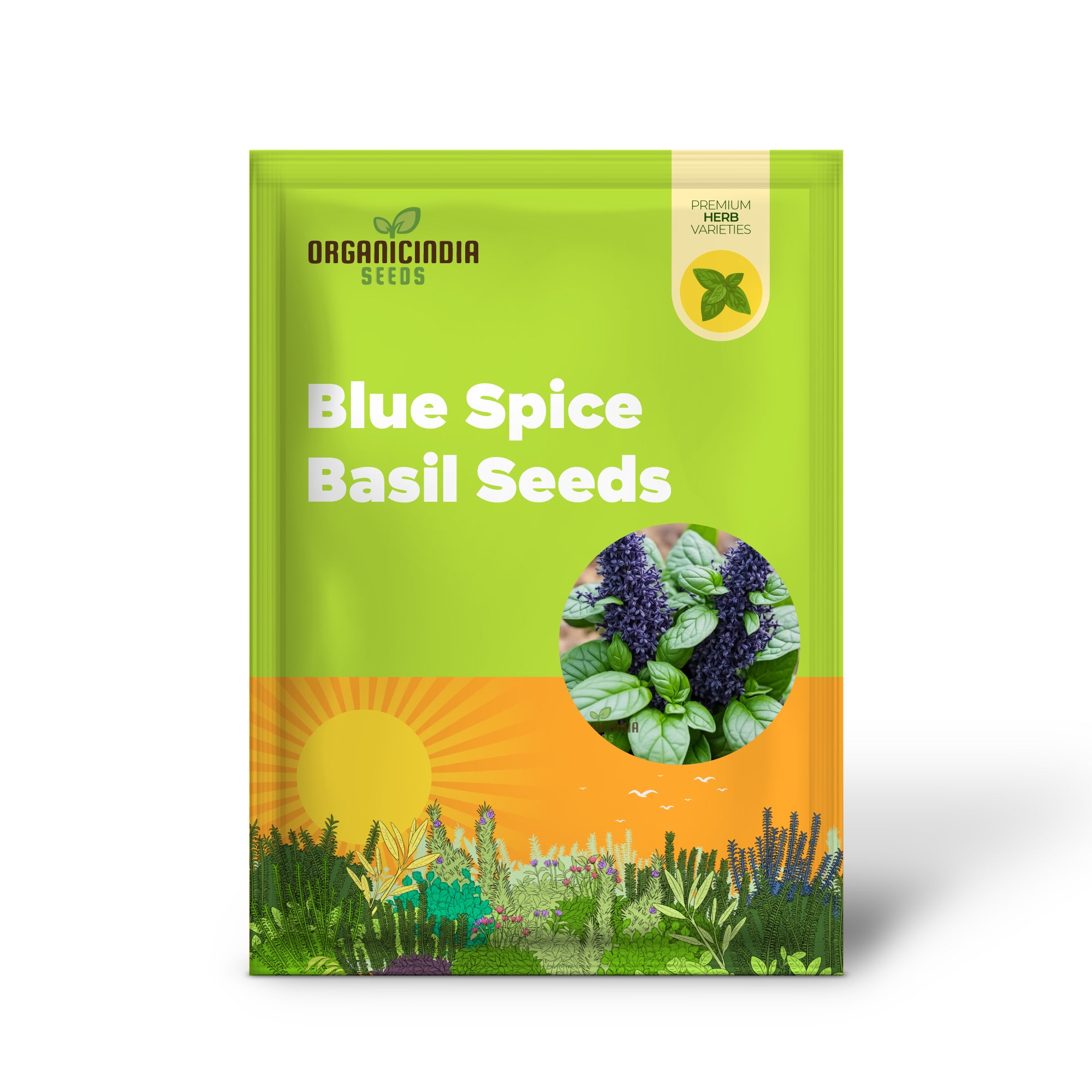 Blue Spice Basil Plant with Green Leaves and Purple Flowers