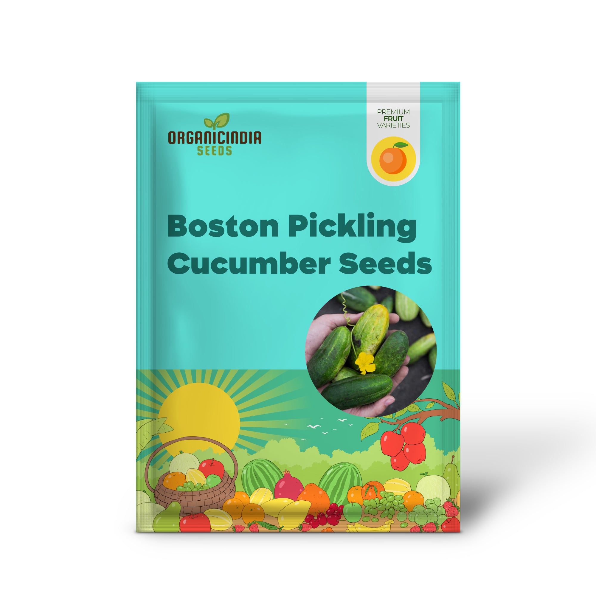 How to Plant Boston Pickling Cucumber Seeds – Growing Instructions