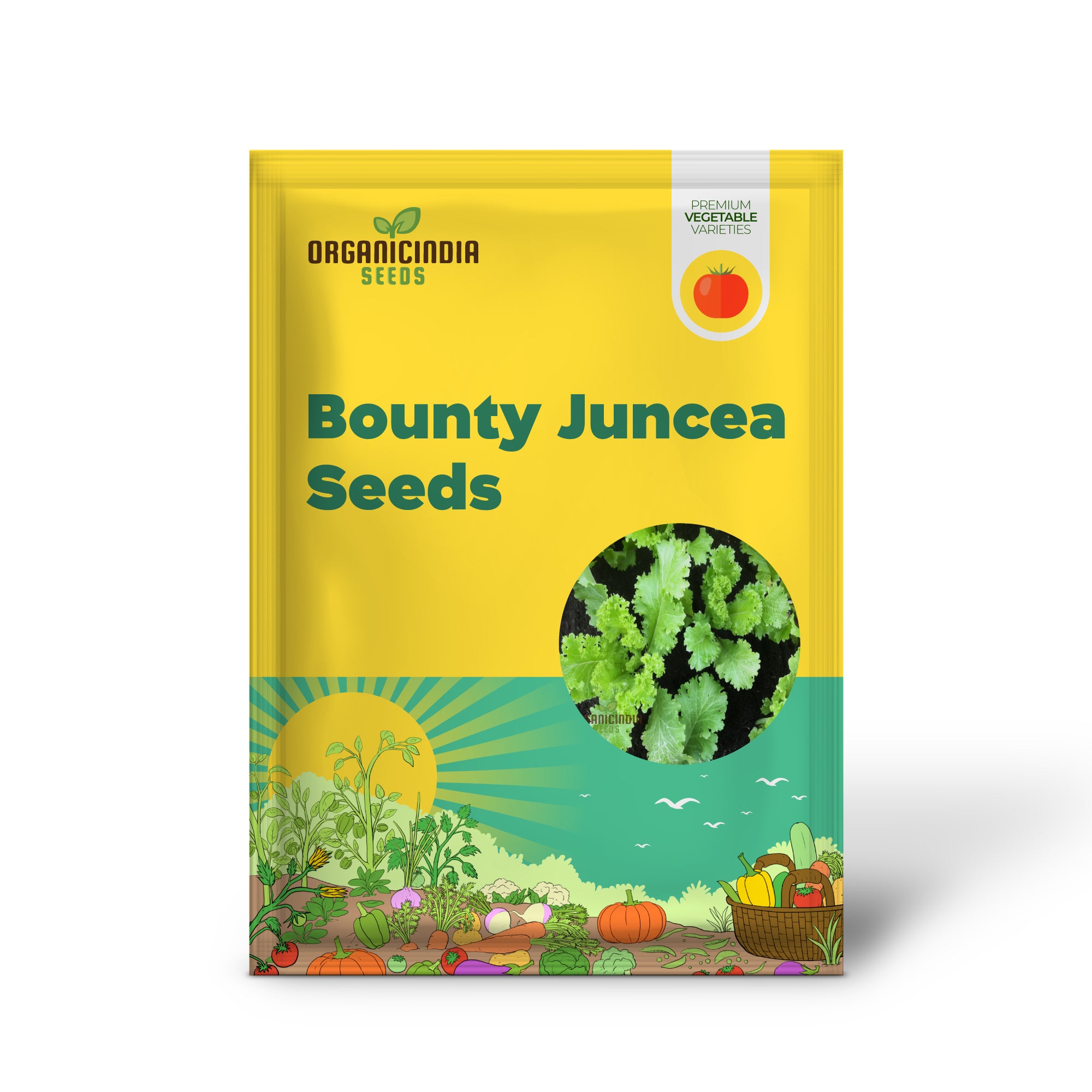 Brassica Juncea Seedling Growing in Container, Easy-to-Grow Mustard Seeds