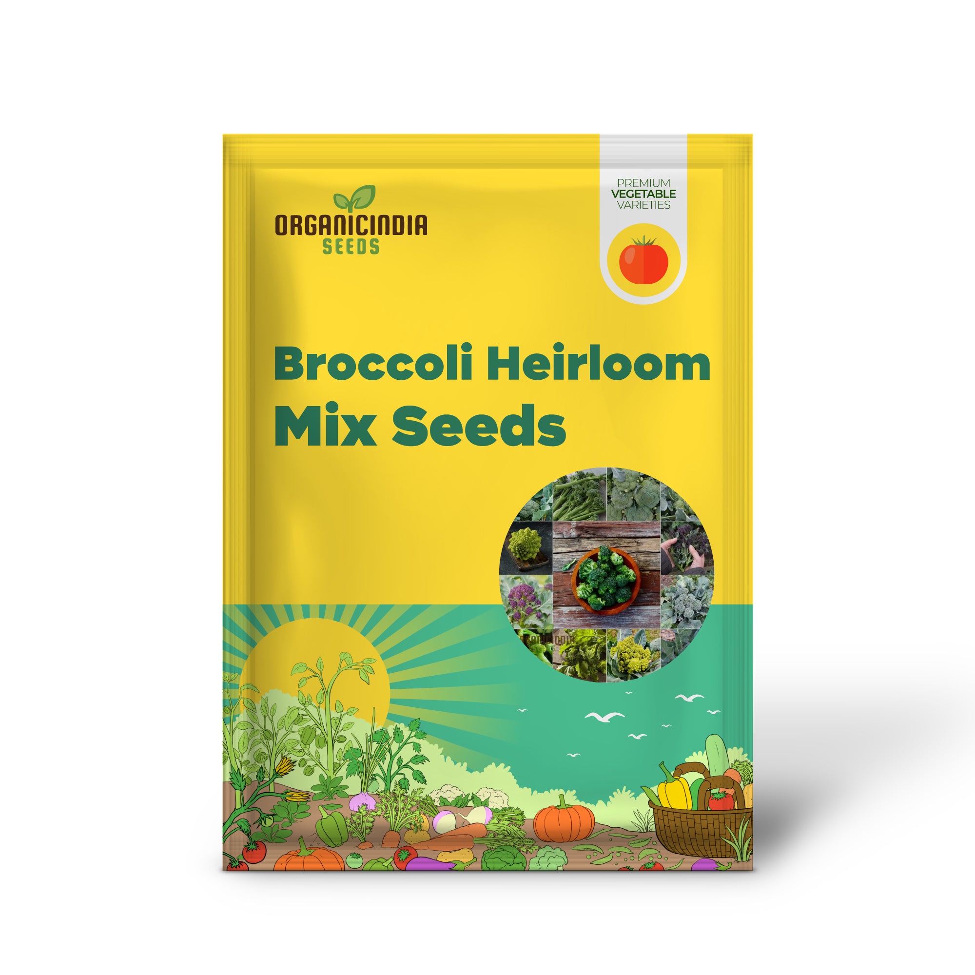 Broccoli Seedlings Growing from Heirloom Mix Seeds for Home Garden