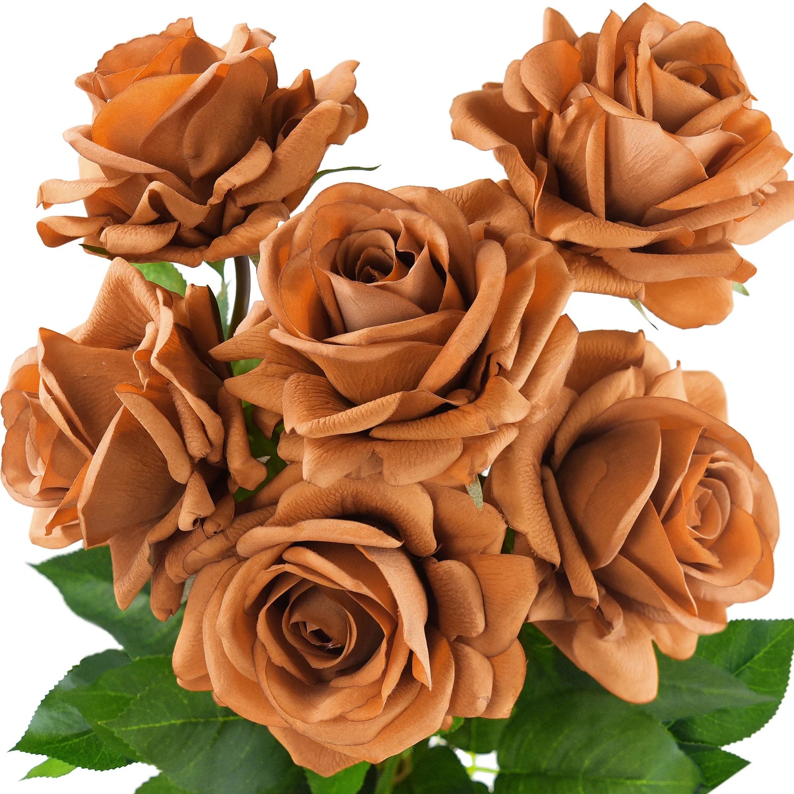 Brown Rose Seeds for Garden Planting, Non-GMO Flower Seeds