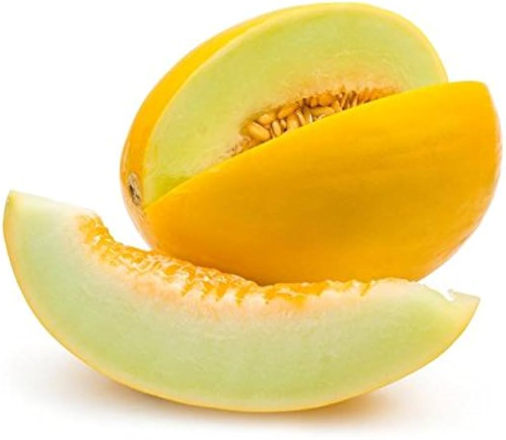 Mature Budgie Melon Plant from Seeds, Healthy Trailing Melon Vines