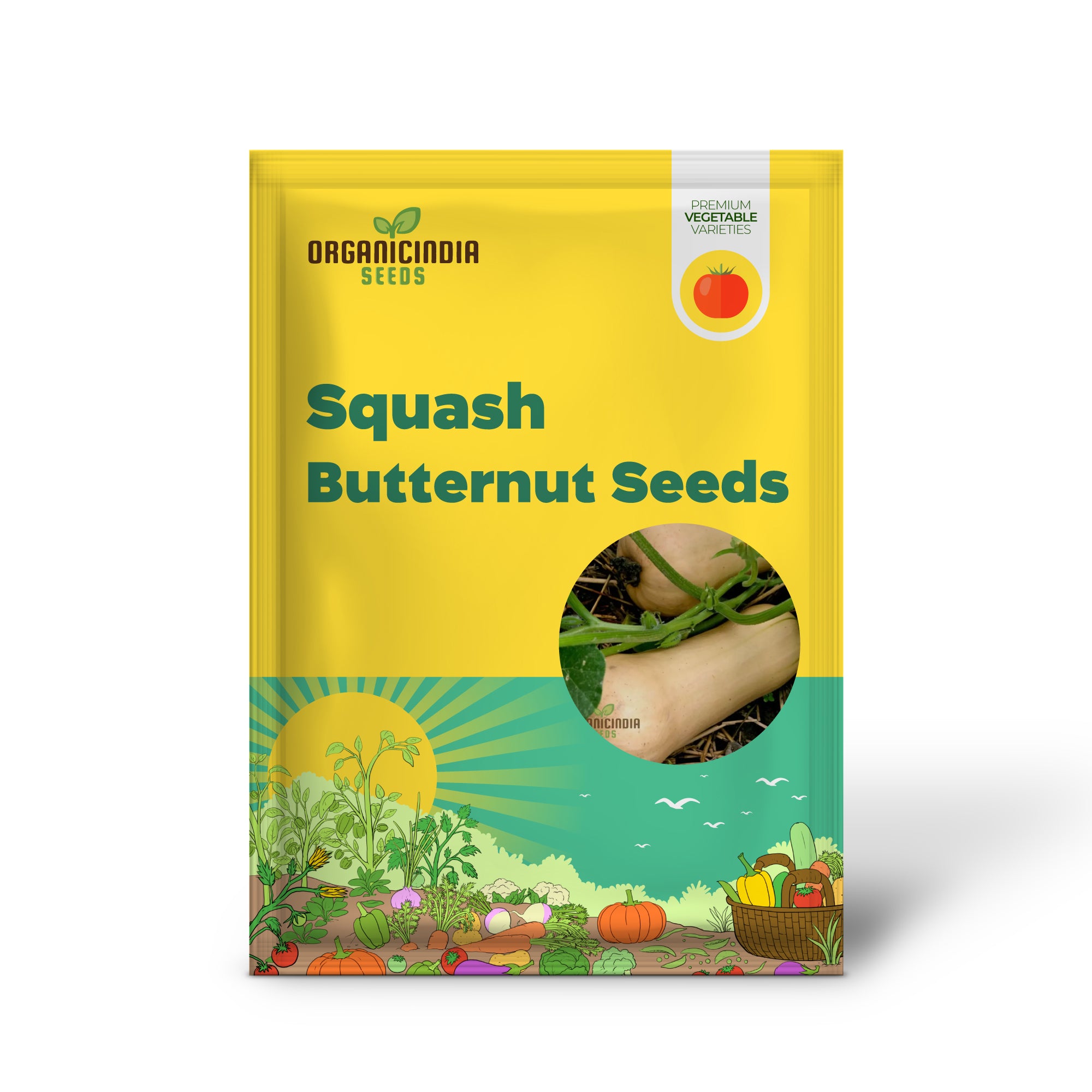 Butternut Waltham Squash Seedling from Seeds, Easy-to-Grow Winter Squash