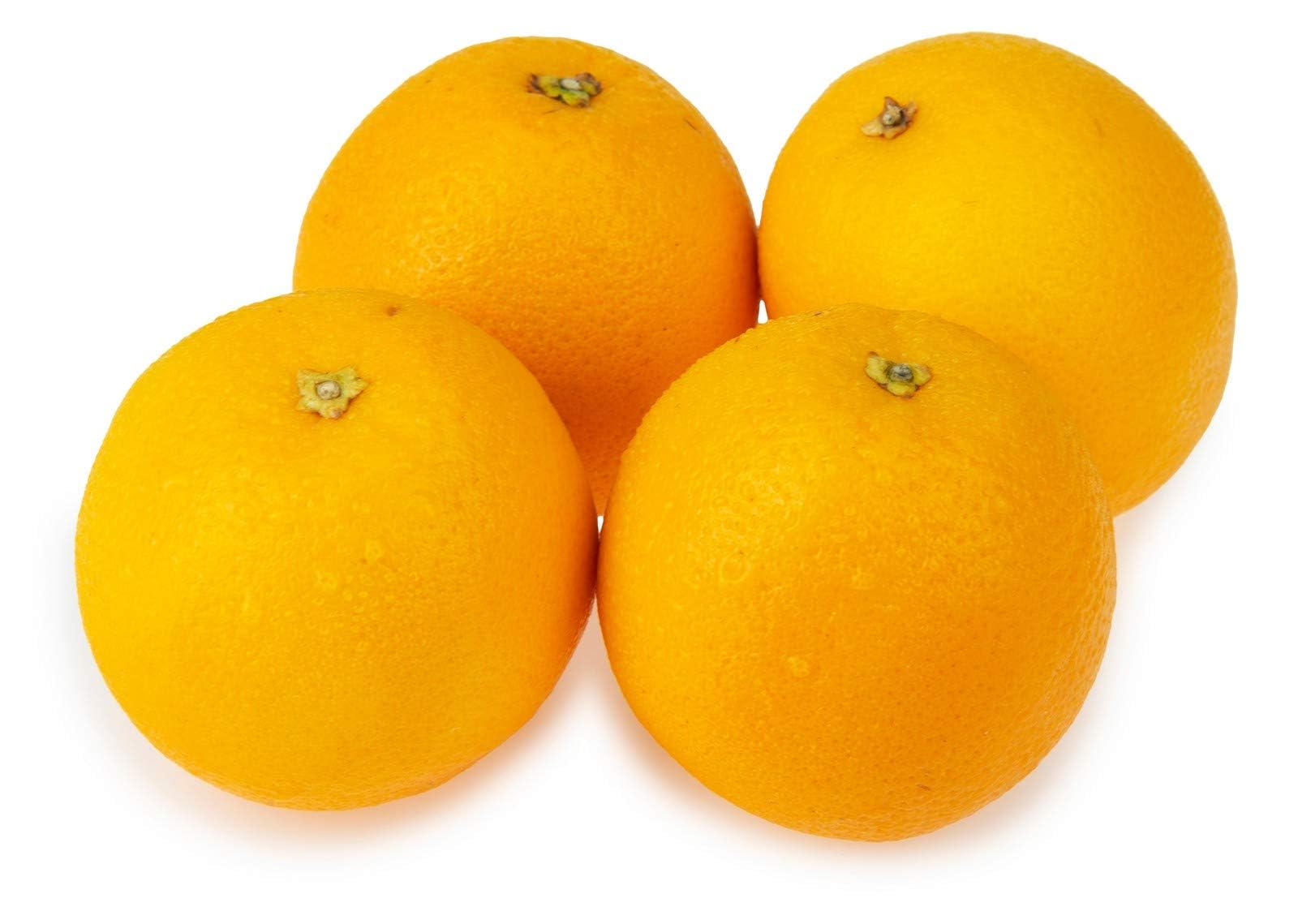 Buy Valencia orange seeds online for planting sweet citrus trees