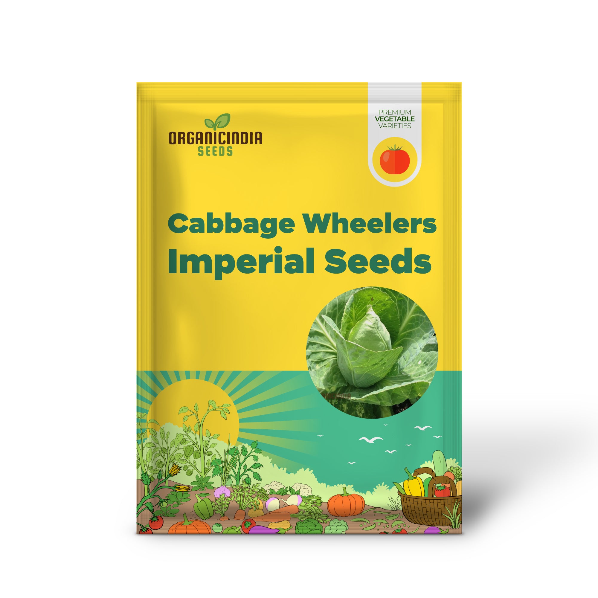 Wheeler’s Imperial Cabbage Seedlings Growing from Seeds