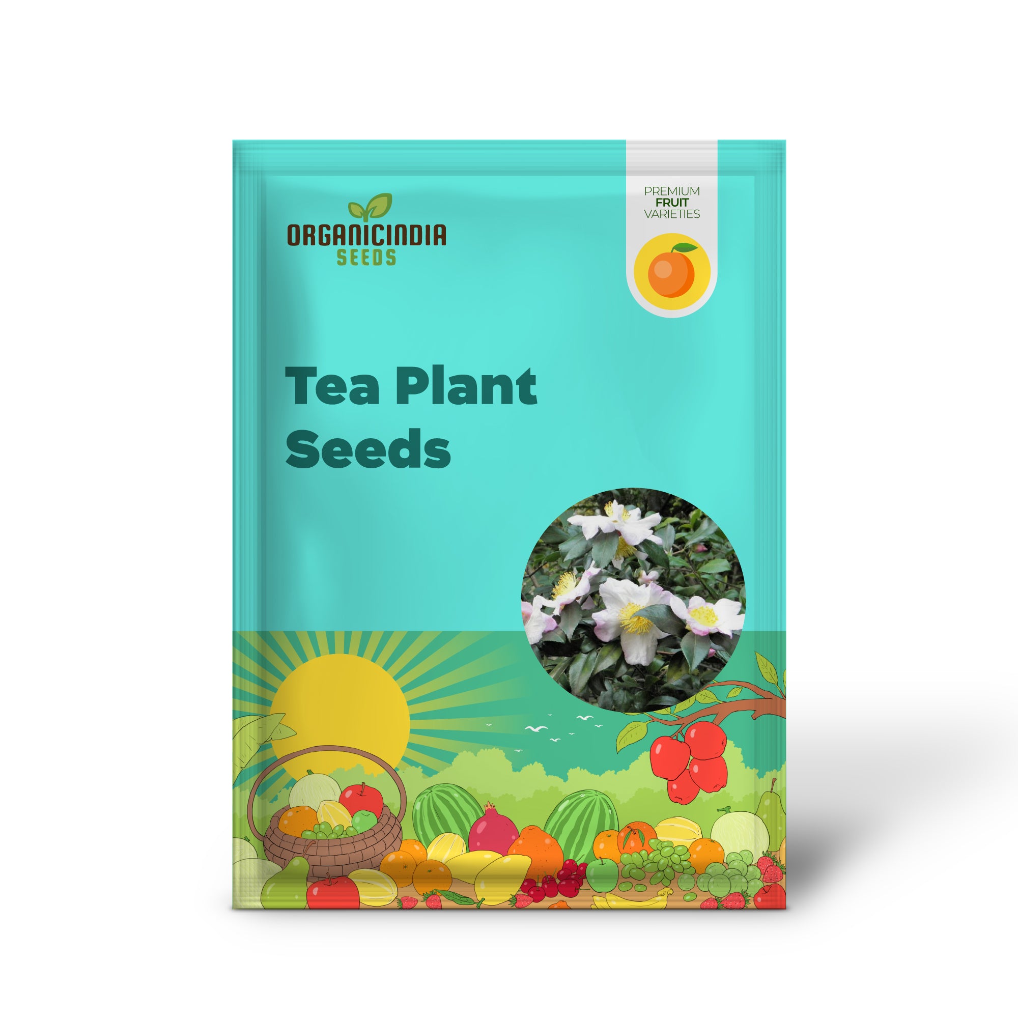 Non-GMO Camellia sinensis seeds for home tea gardens