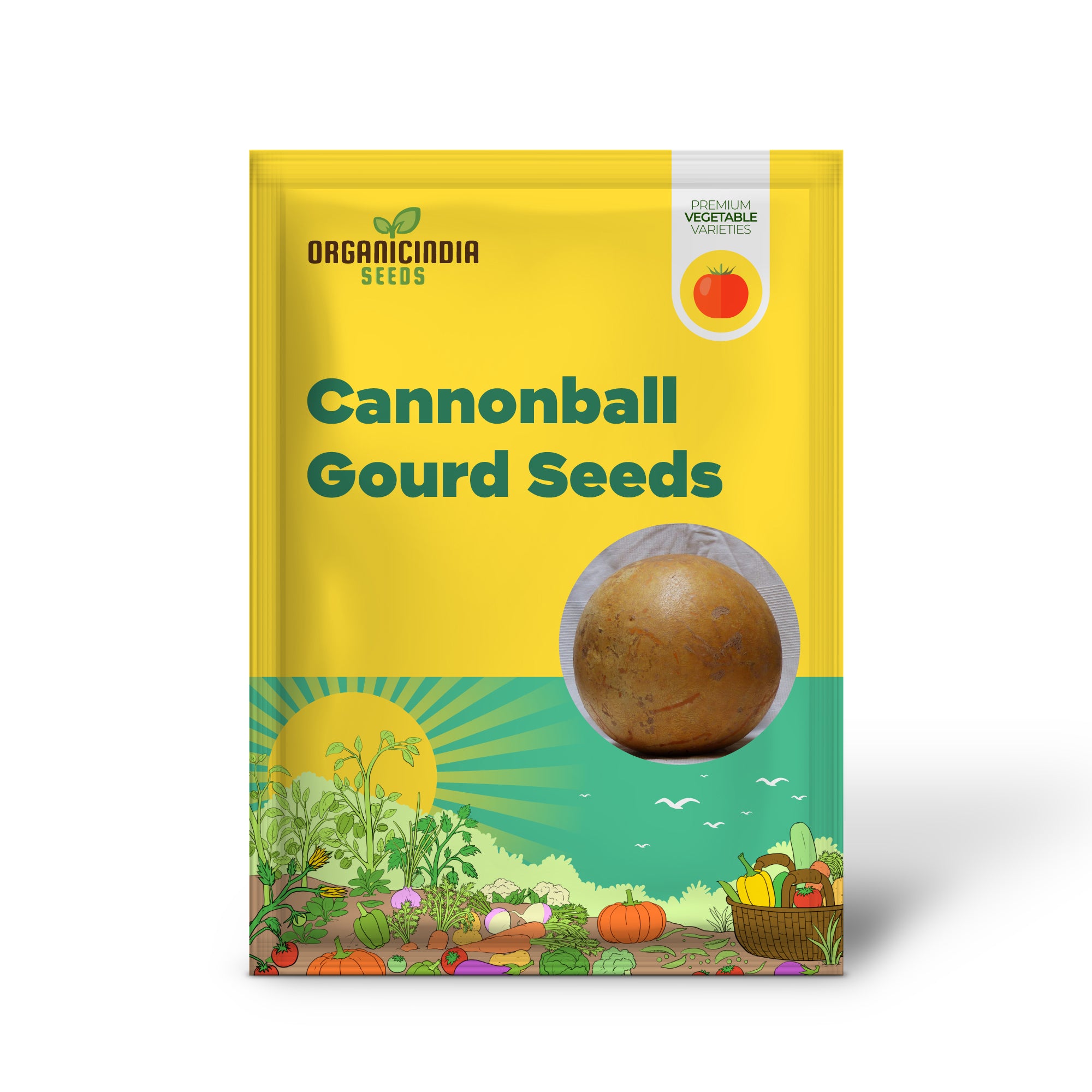 Cannonball Gourd Seedling Growing from Seeds, Fast-Growing Climbing Vine