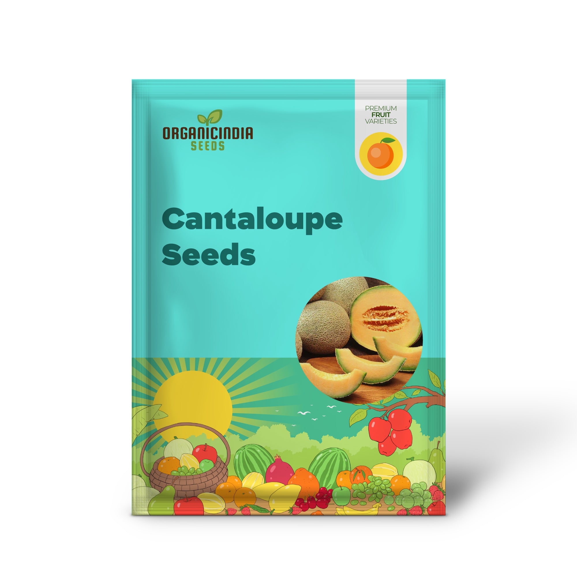 Cantaloupe seeds Hale’s Best Jumbo Non GMO