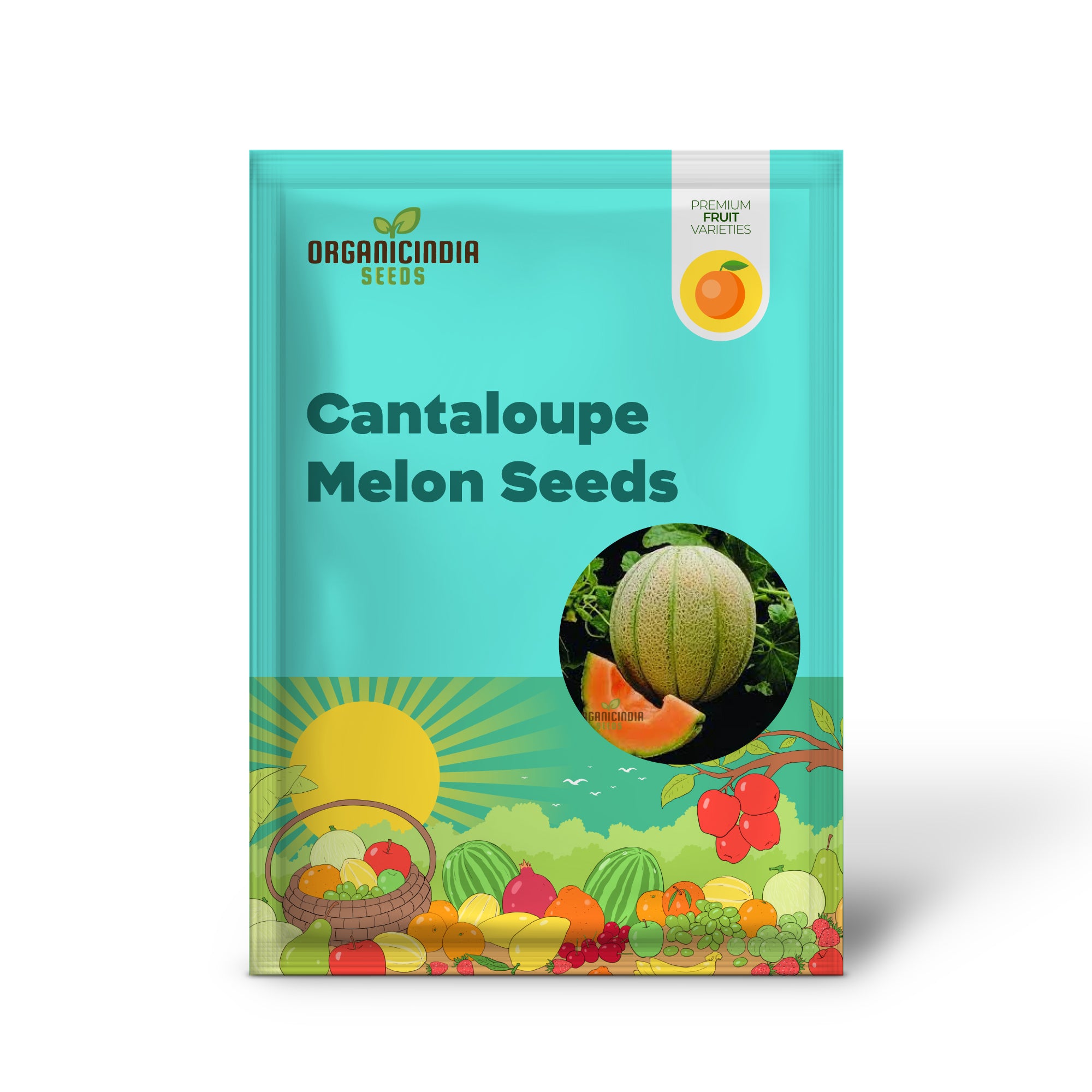 “cantaloupe melon fruit ripening on vine sweet orange flesh”