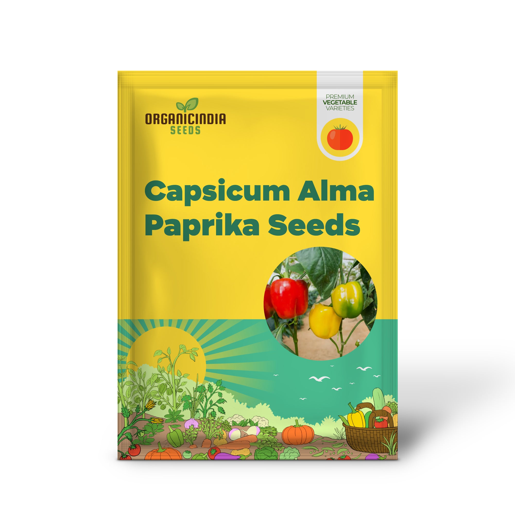 Alma Paprika Seedling Growing from Capsicum Seeds in Garden