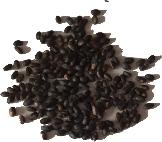 Carnivorous Venus Flytrap Garden Decoration Plant