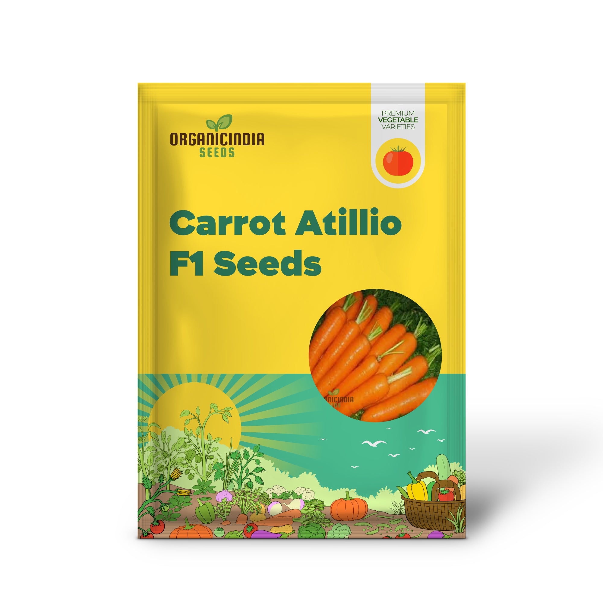 Carrot Atillio F1 Seedling in Garden, Easy-to-Grow Vegetable Seeds
