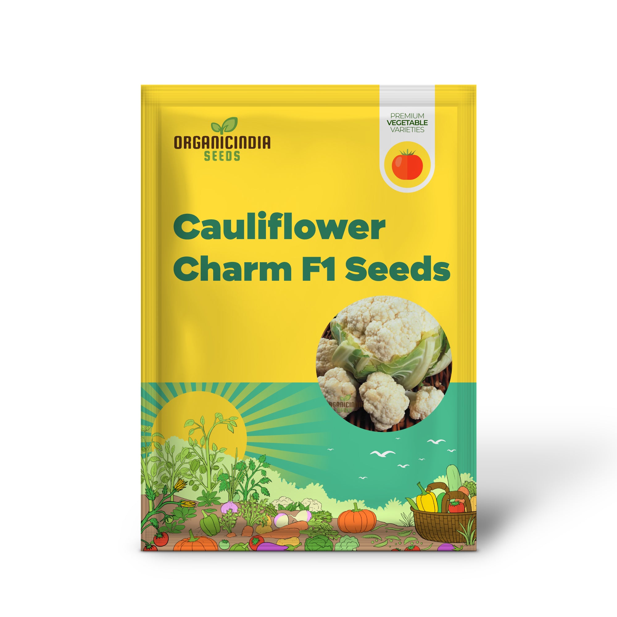 Candid Charm F1 Cauliflower Seedling for Vegetable Garden