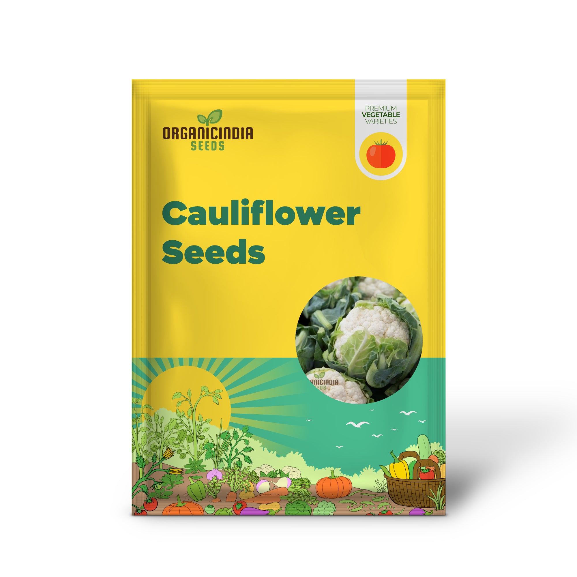 All Year Round Cauliflower Seedling in Garden, High-Yield Vegetable Seeds