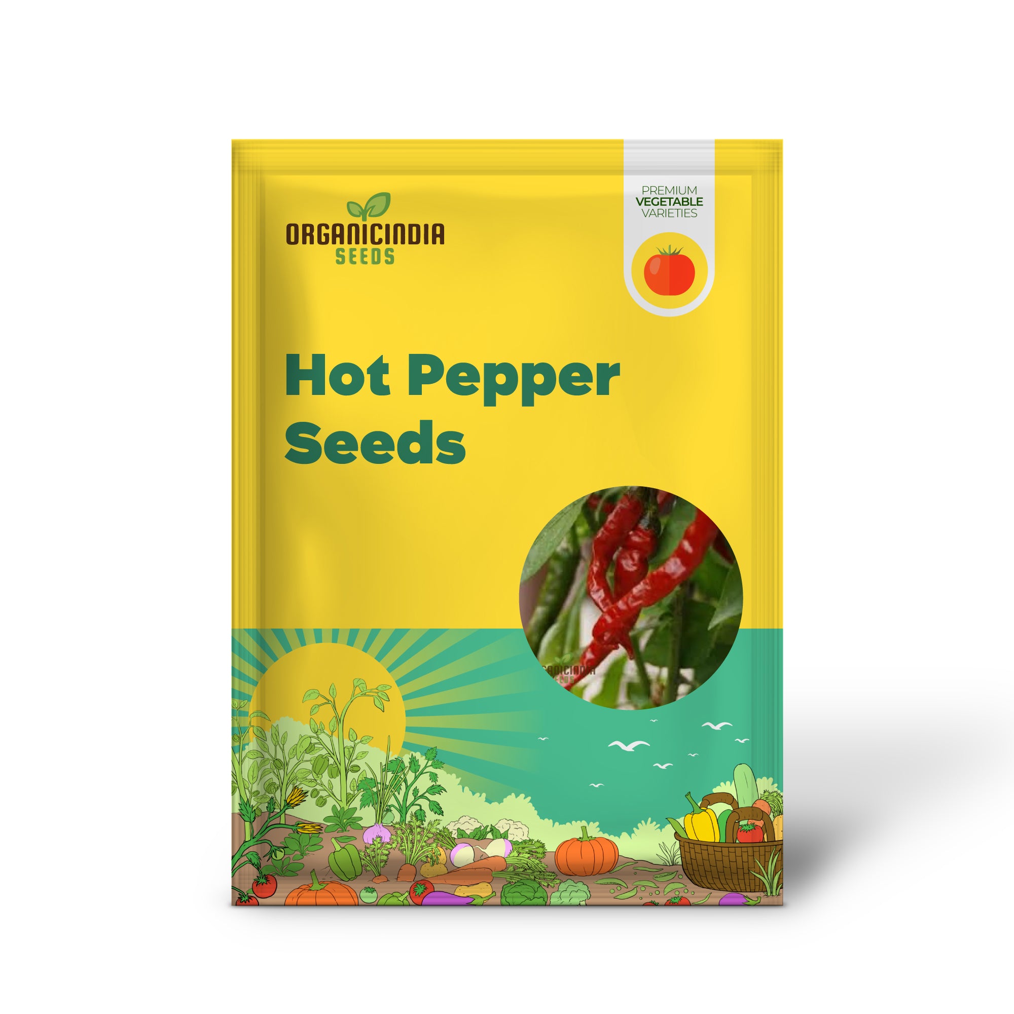 Cayenne Long Red Thin Pepper Seedling from Seeds, Easy-Grow Hot Pepper Plant
