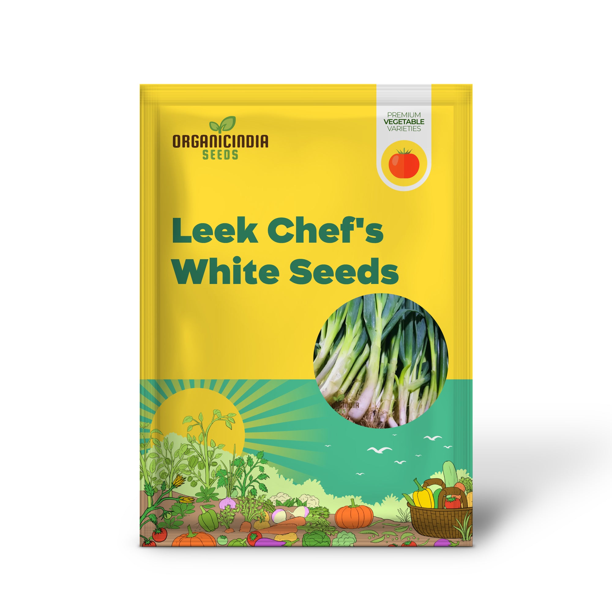 Chef’s White Leek Seedling Growing in Garden, Tender Culinary Leeks