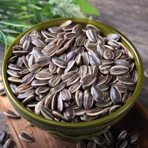 Chocolate and Red Sunflower Seeds for Ornamental Gardens