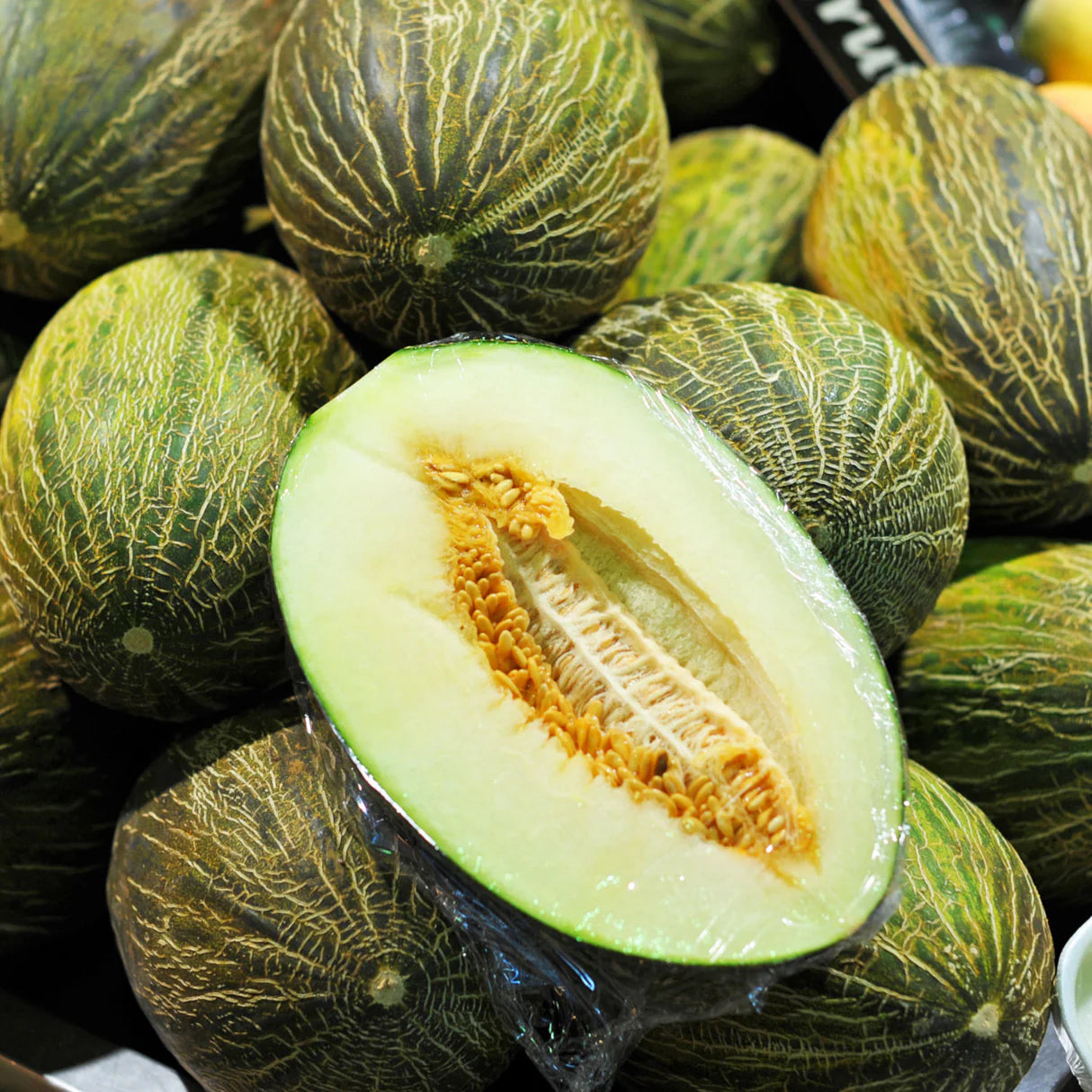 Christmas Melon with green and yellow mottled rind