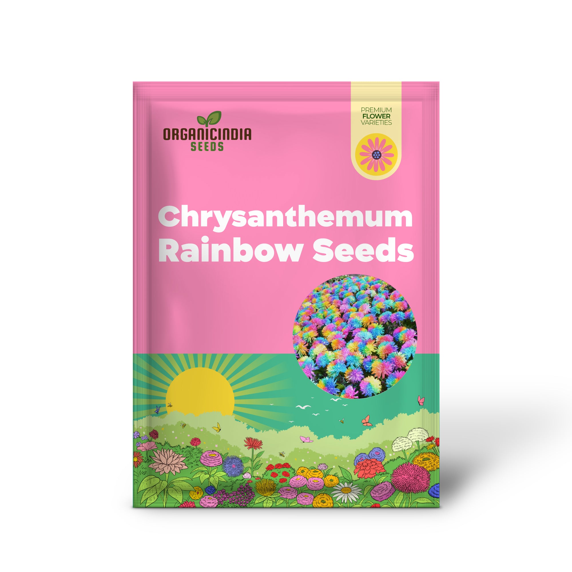 Chrysanthemum Rainbow Mix Multi Color Flowers