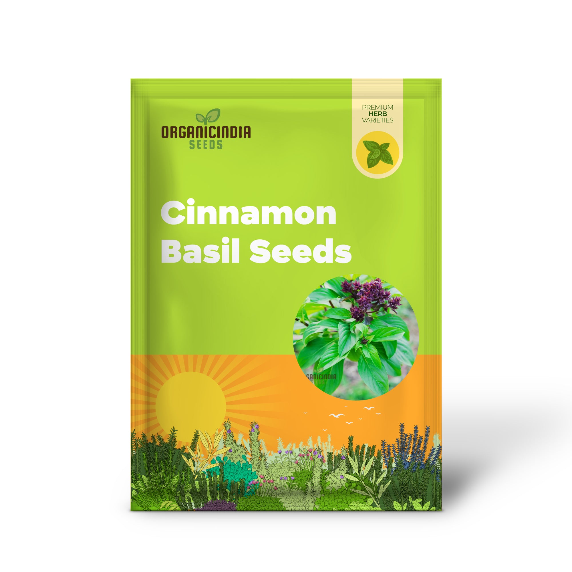 Non-GMO Cinnamon Basil Seeds for Culinary Herb Gardens