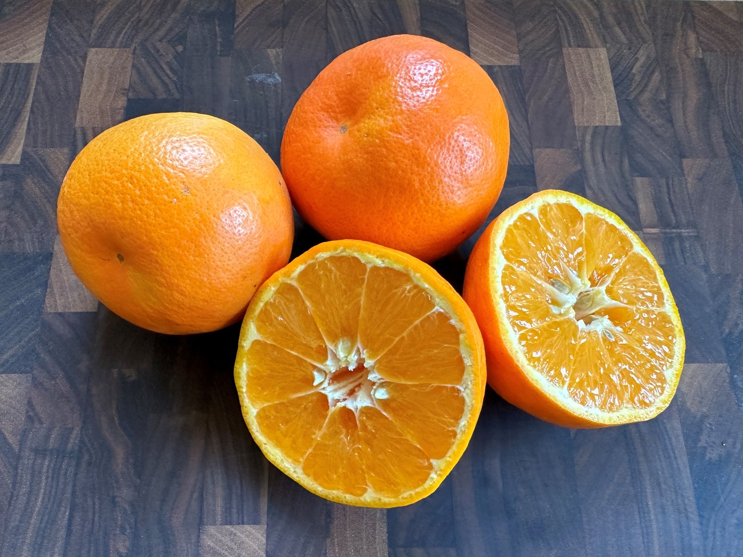 Citrus sinensis orange tree seeds for growing sweet juicy oranges