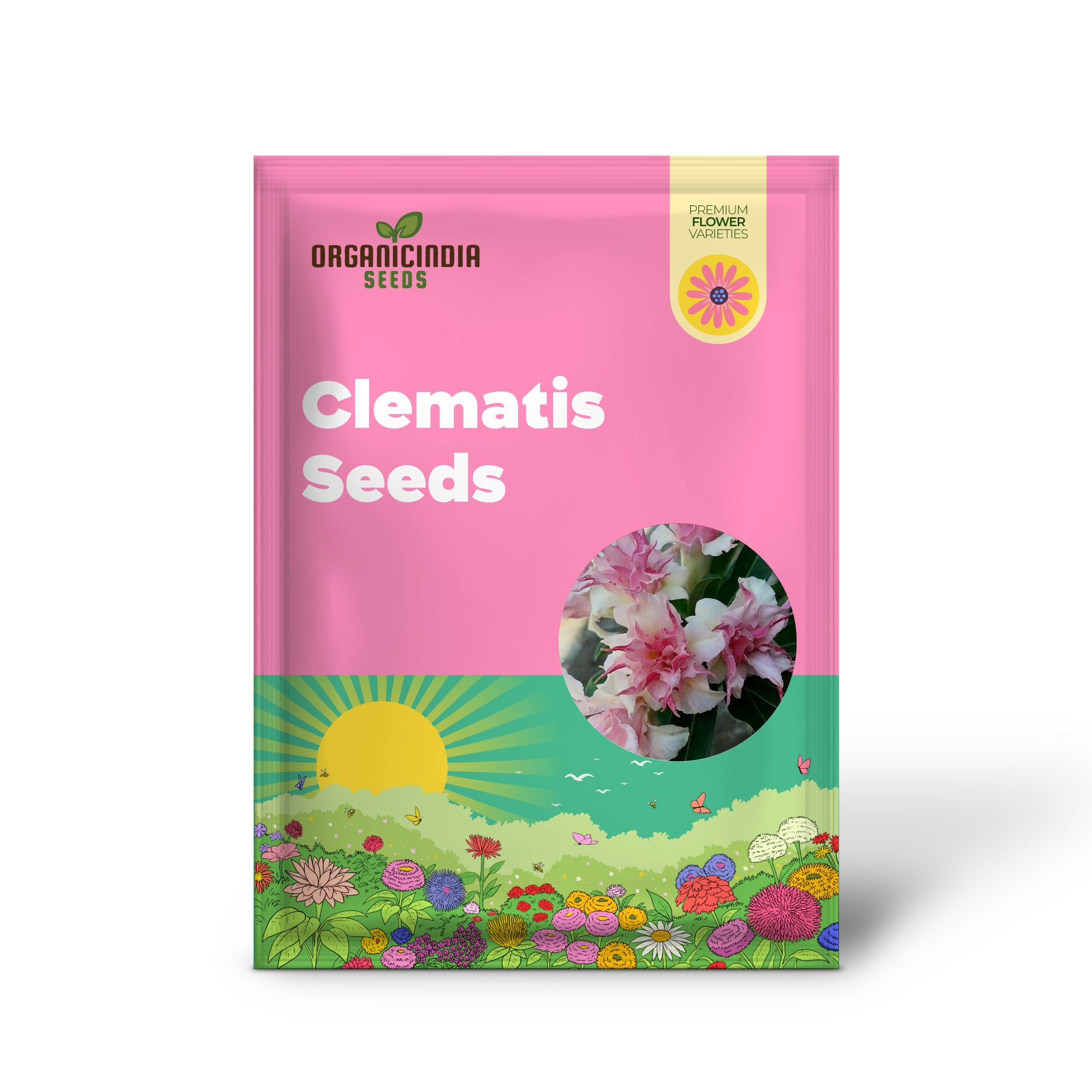 Mature Double White Pink Clematis Vine from Seeds