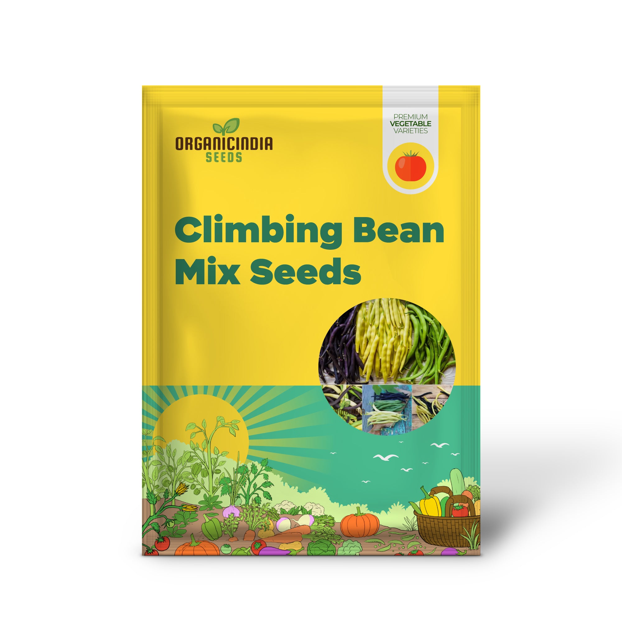 Heirloom Mix Climbing Bean Seedlings Sprouting in Garden