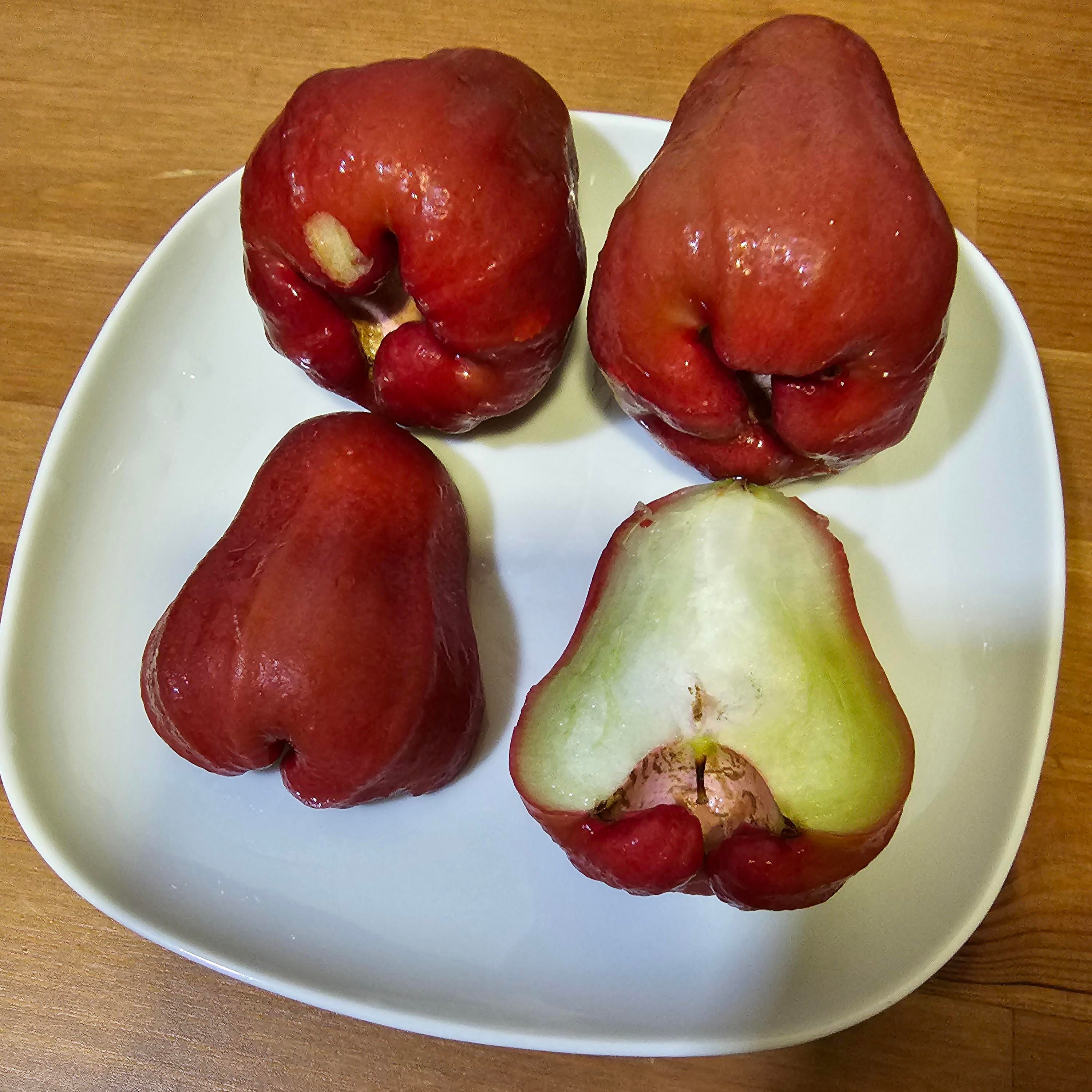 Rose Apple Seeds for Planting - 100 pcs - Fruit Seeds