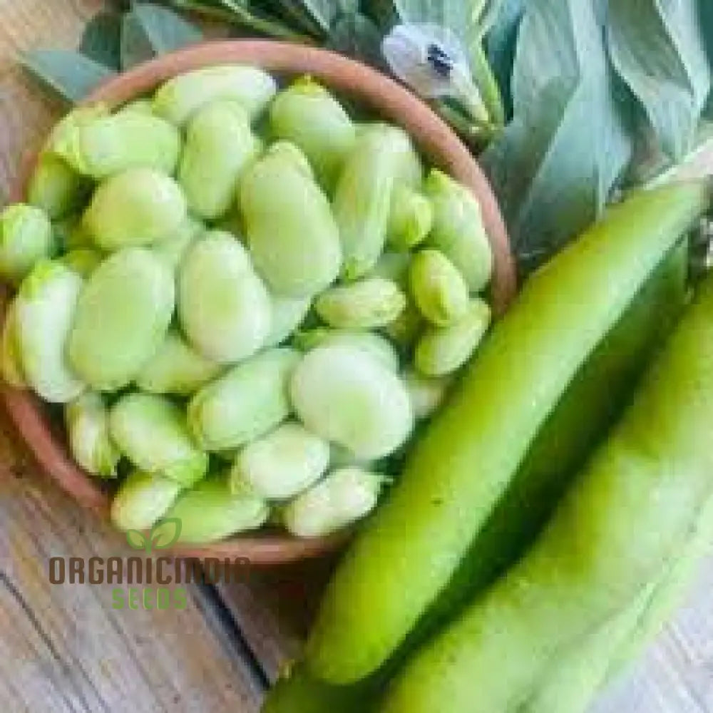 Coles Dwarf Seedlings from Organic Seeds, Compact Garden Plants