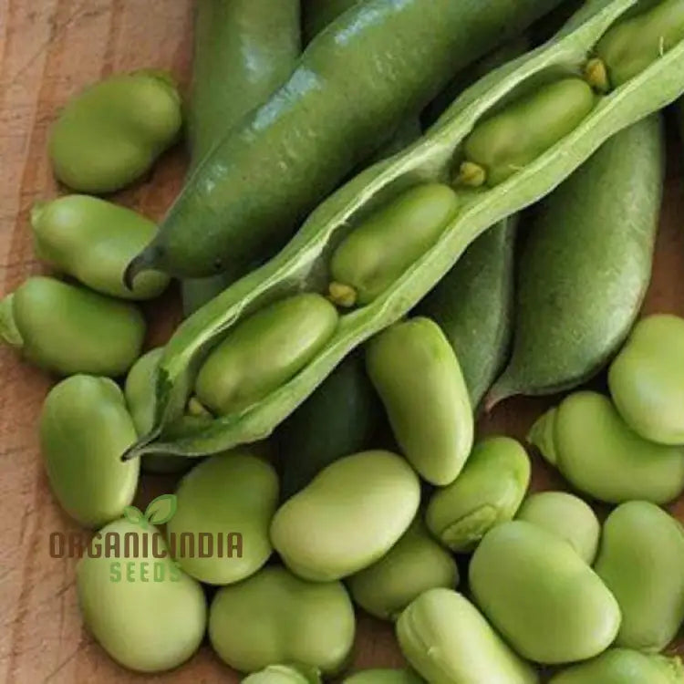 Coles Dwarf Seeds for Planting, Premium Quality Organic Garden Seeds