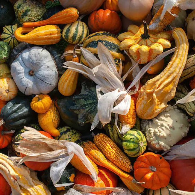 Colorful Ornamental Gourd Mix Seeds for Home Garden, Small Decorative Gourds