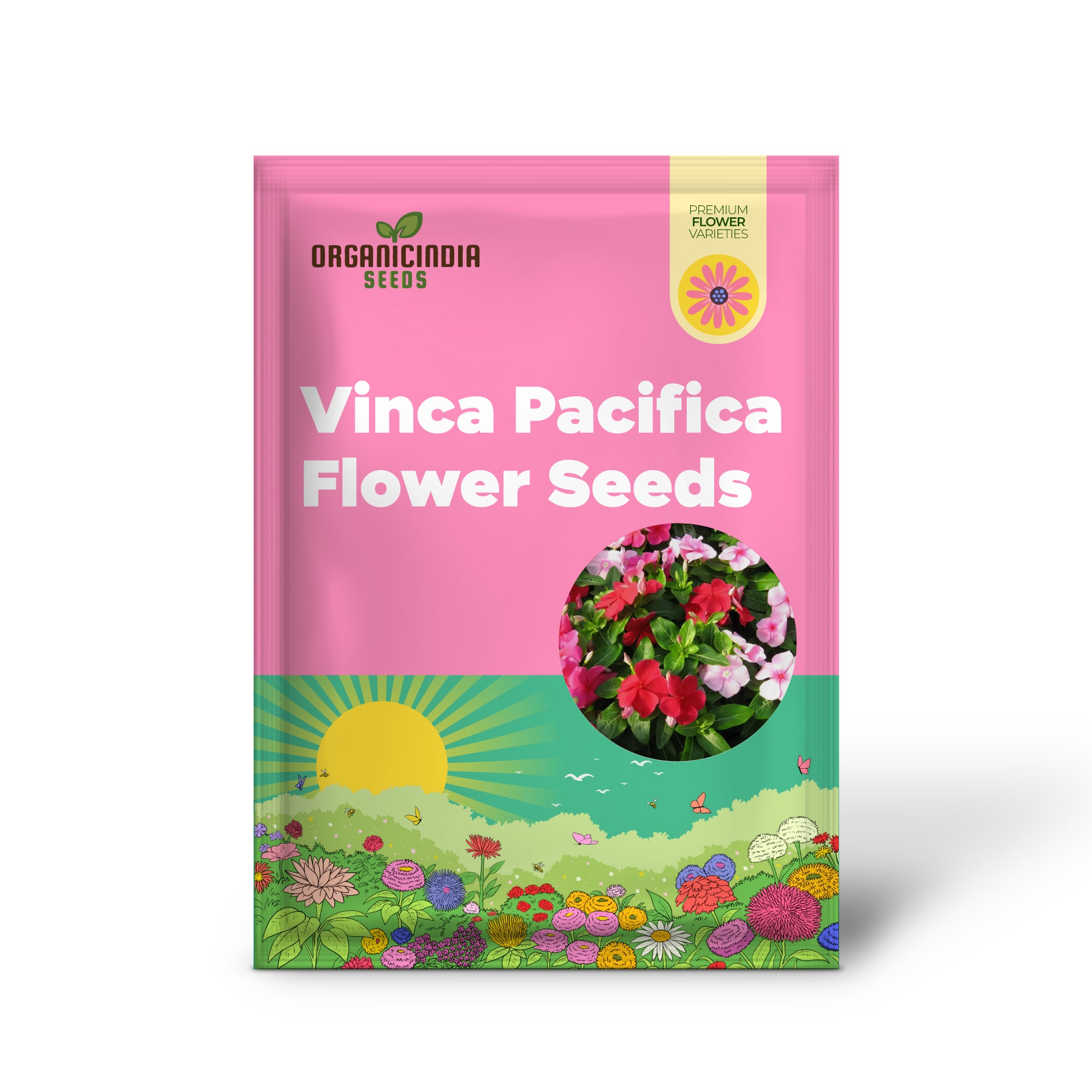 Colorful vinca flower seeds mixed blooms for sunny gardens