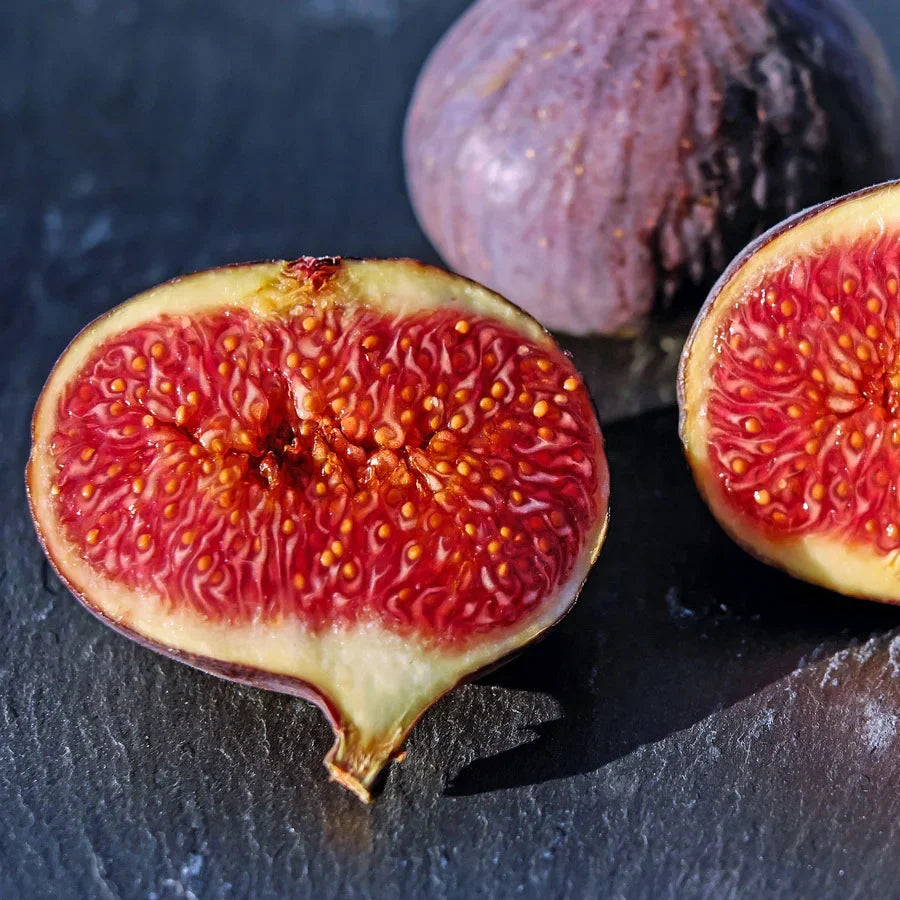 Common Edible Fig Seeds Ficus carica Non GMO for planting