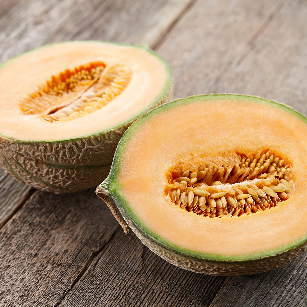 Early maturing compact cantaloupe seeds