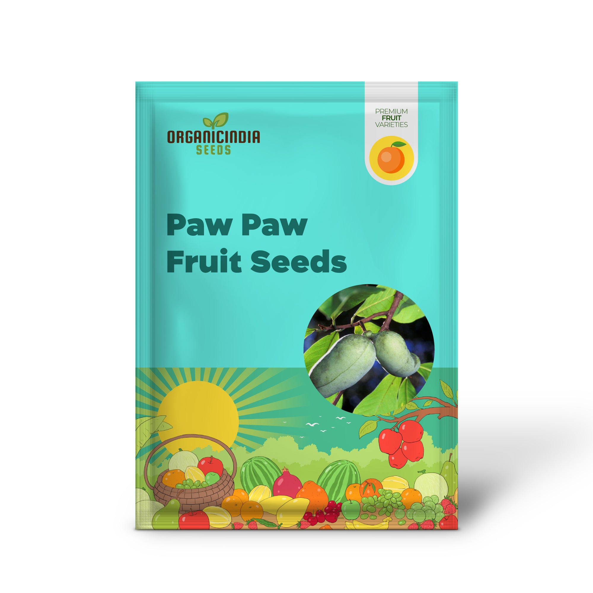 Container Pawpaw Tree Seeds for Patios and Small Gardens