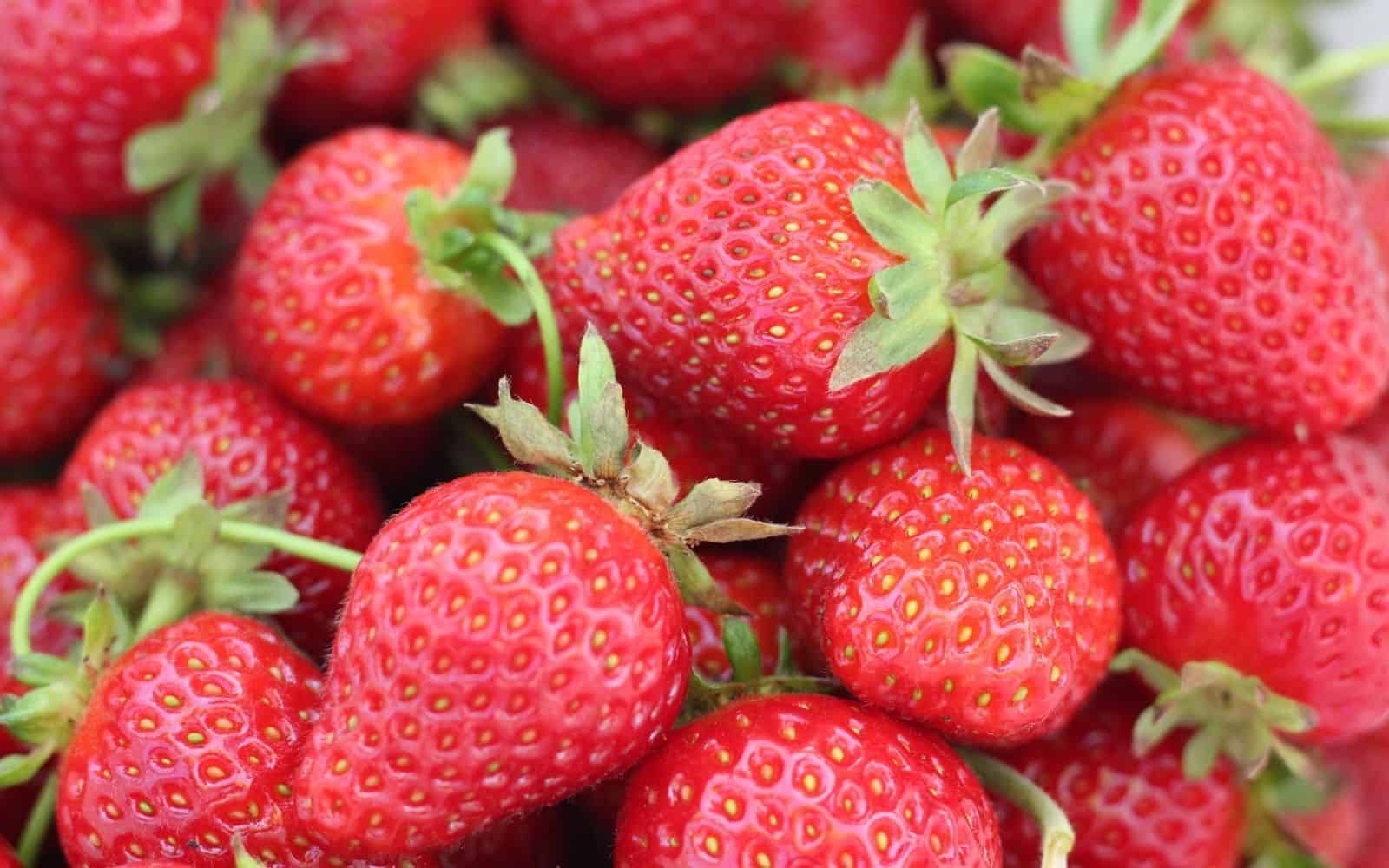 Strawberry Seeds Suitable for Containers and Raised Beds