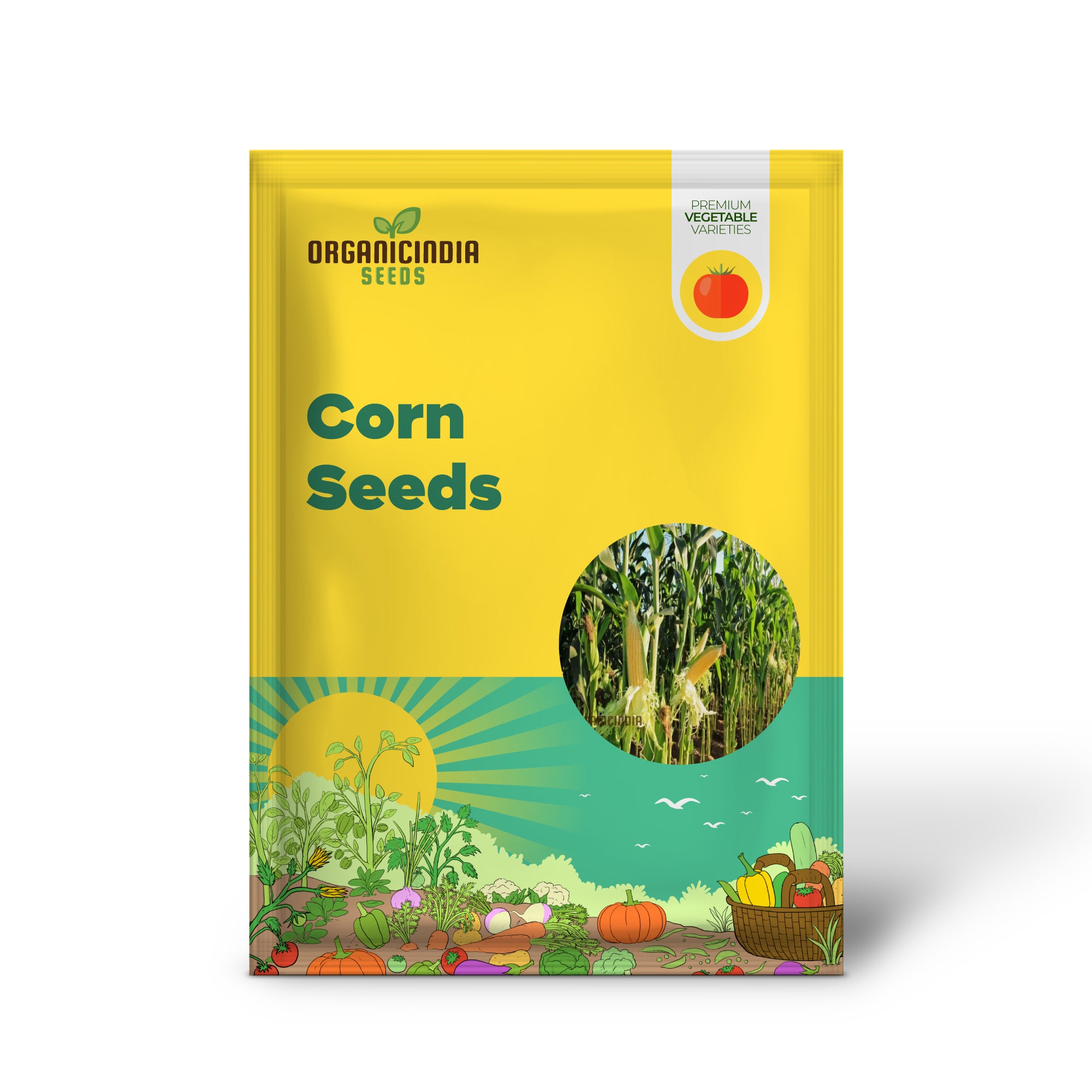 Organic Corn Seedlings Growing from Seeds, Healthy Home Garden Plants