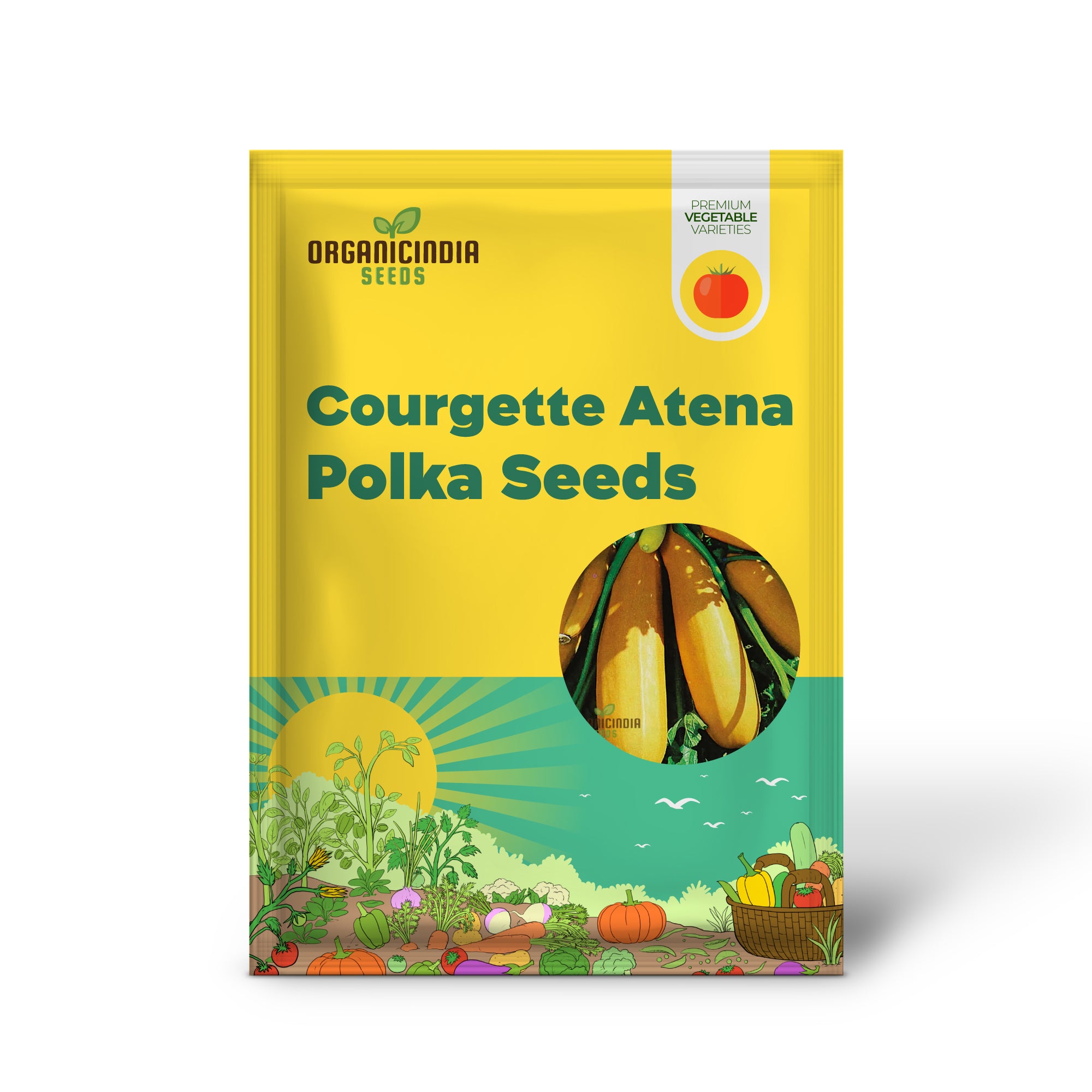 Courgette Seedling from Atena Polka F1 Seeds, Home Garden Vegetable