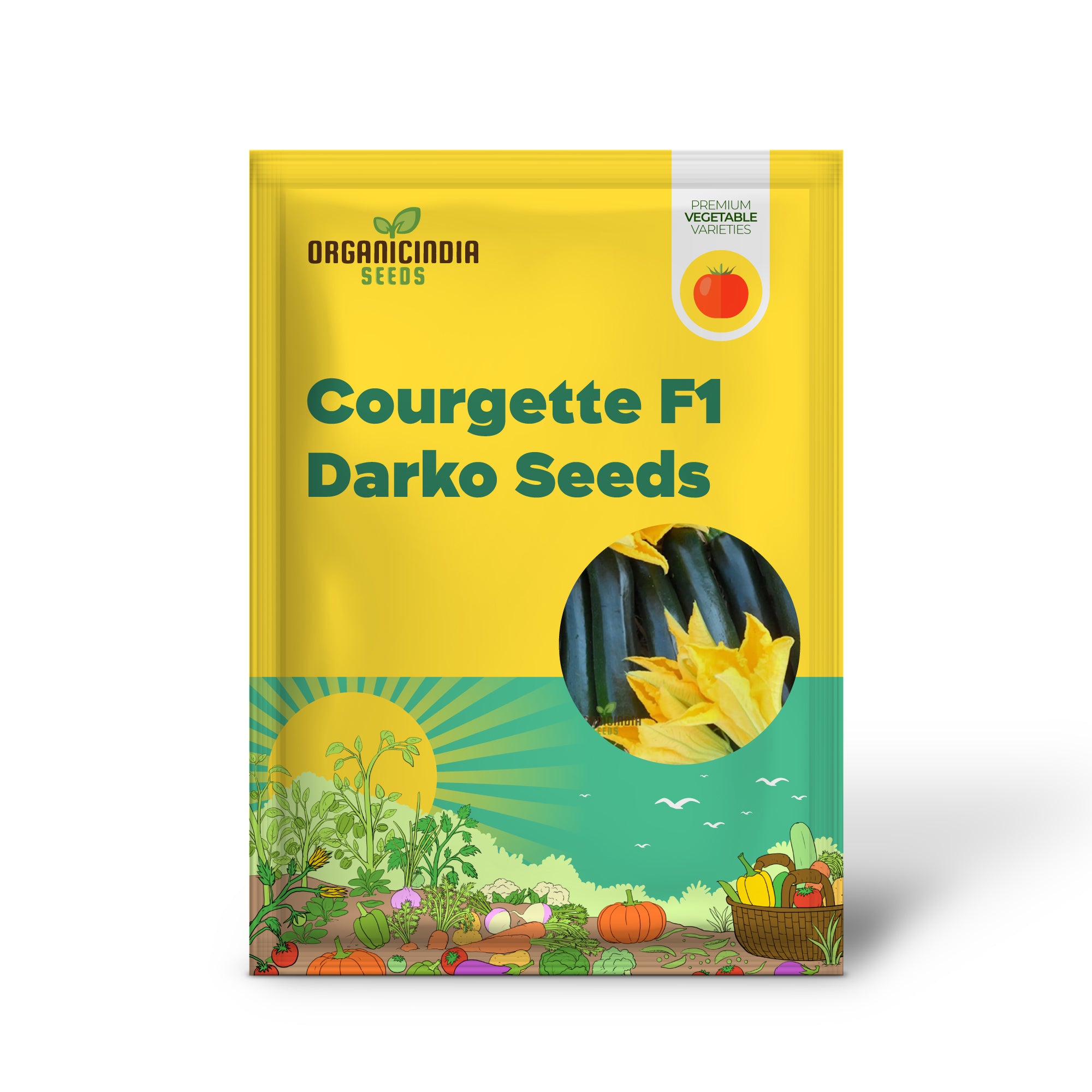 Courgette F1 Darko Seedling Growing in Garden