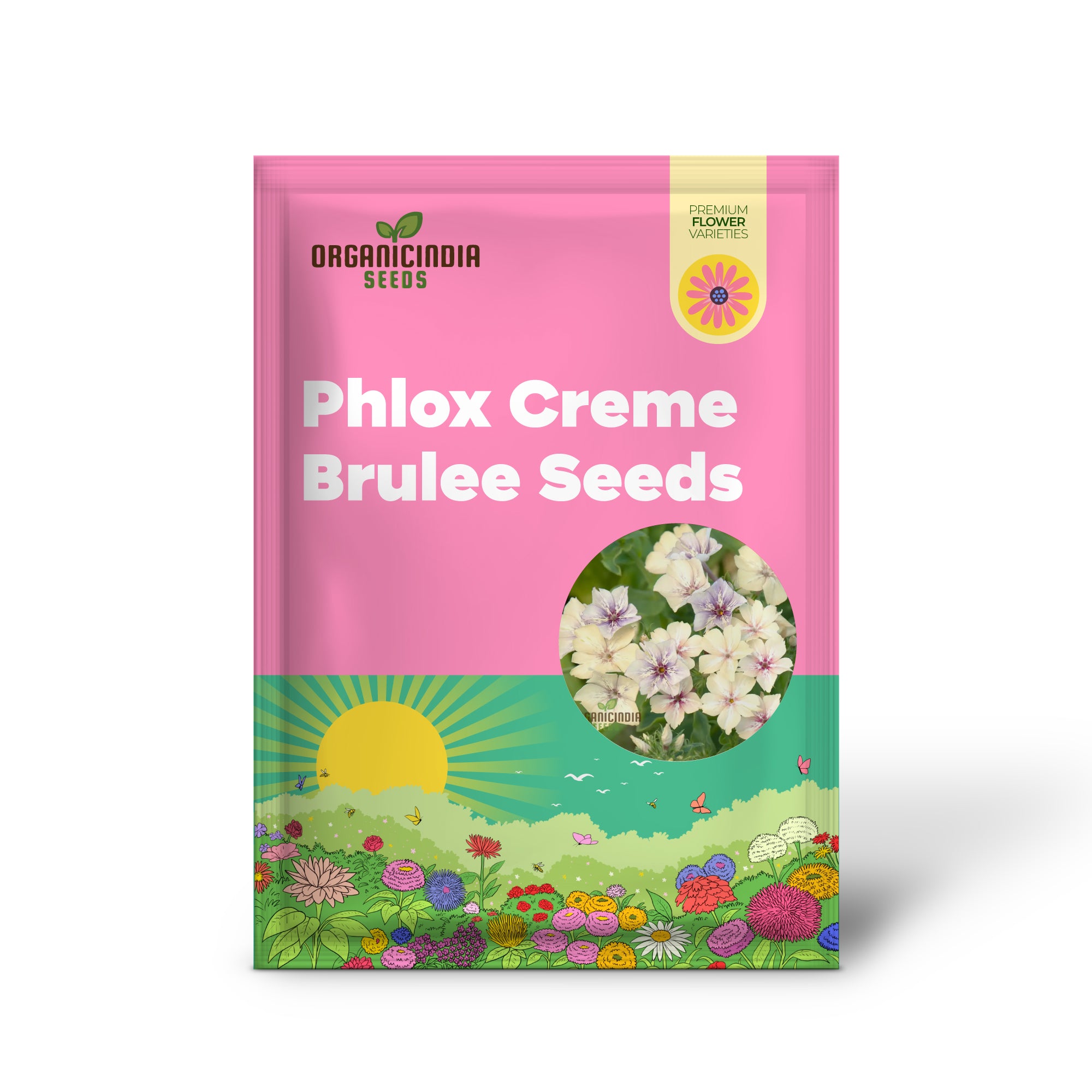 Creamy Phlox Seeds for Soft-Toned Garden Planting