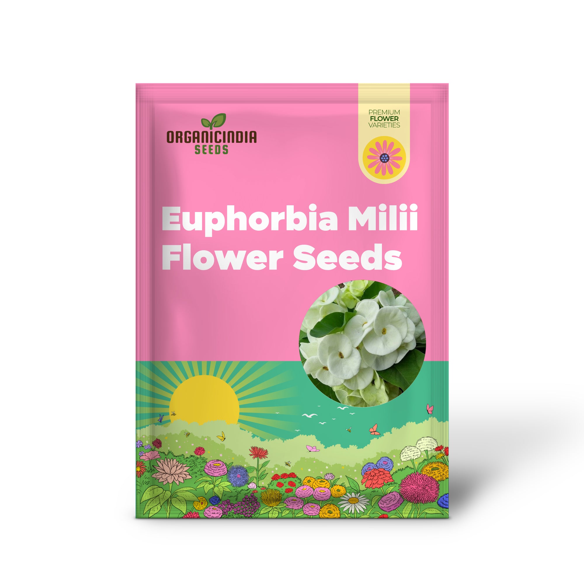 Crown of Thorns Euphorbia Milii Flower Bloom