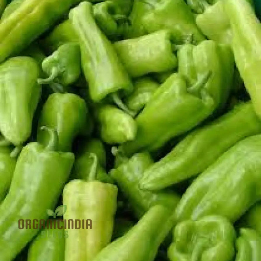 Cubanelle Sweet Pepper Seeds Packet, Premium Non-GMO Seeds for Gardening