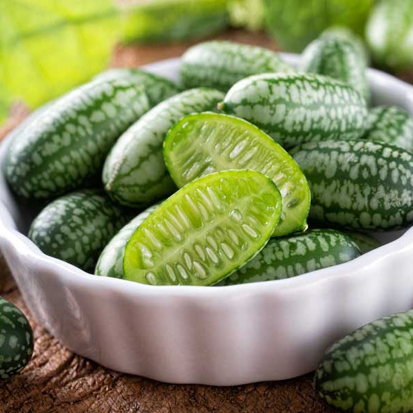 Mature Cucamelon Vine from Seeds, Compact Climbing Plants